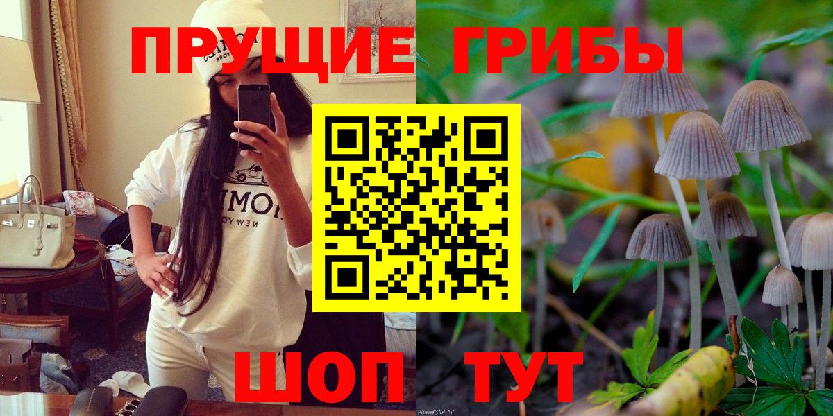 Псилоцибиновые грибы MAGIC MUSHROOMS  Псилоцибиновые грибы Psilocybe  Вход с VPN  Майский 